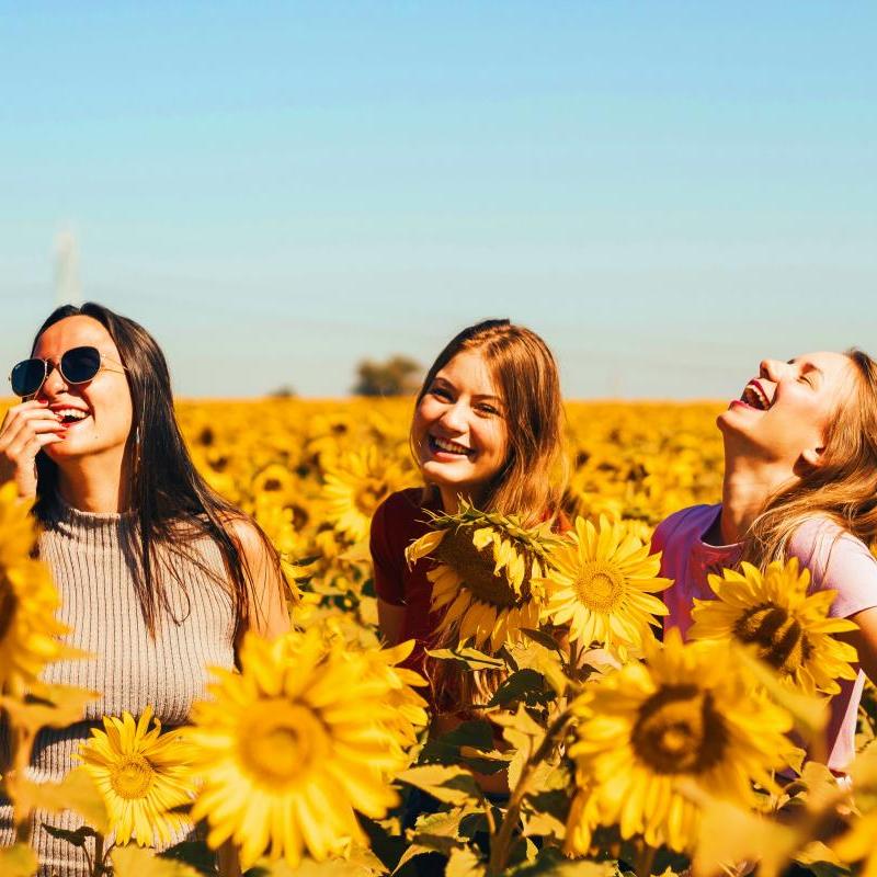 Aromatic Ingredients 4_1(1)