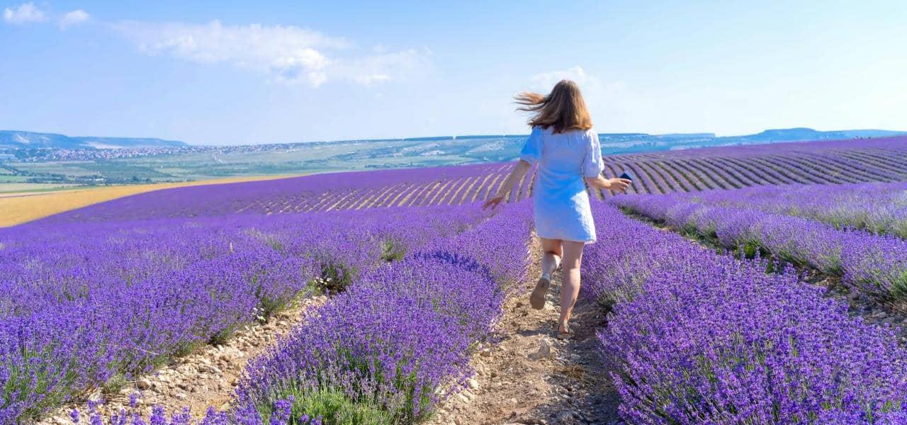 Perfume Page 2(2)(1)(1)