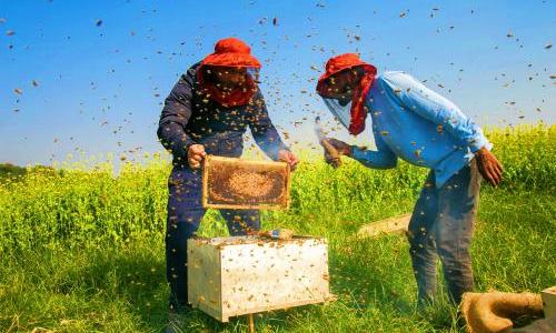 Sustainability 2_1(1)