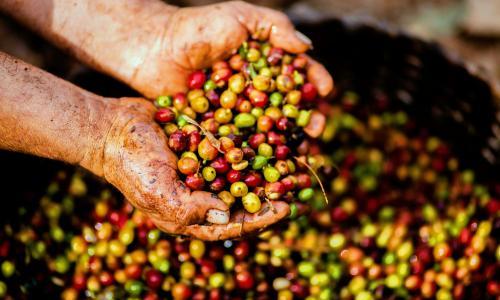 Sustainability 4_1(1)