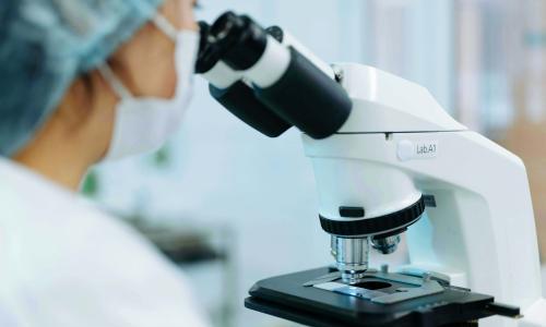 Sustainability 8_1(1)