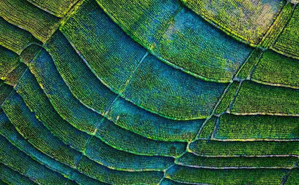 homepage-Sustainability Commitment(1)(2)