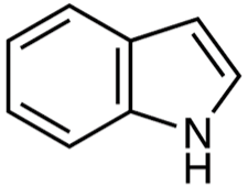 43.Indole(1)