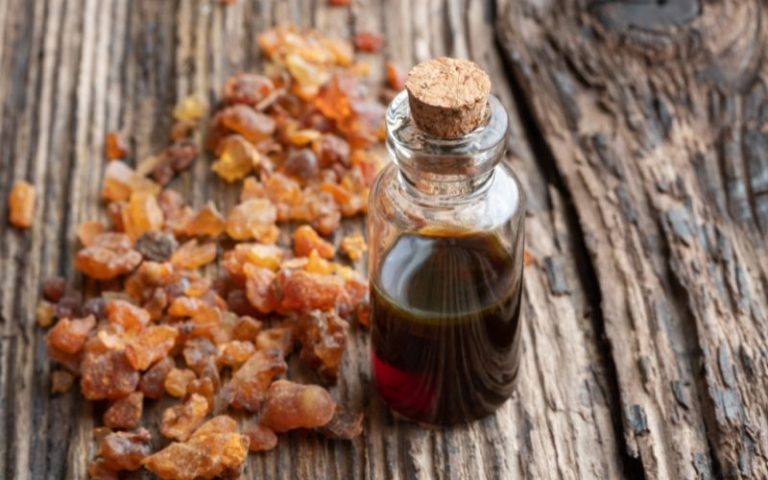19.What Is Myrrh And Its Role In Perfume 1