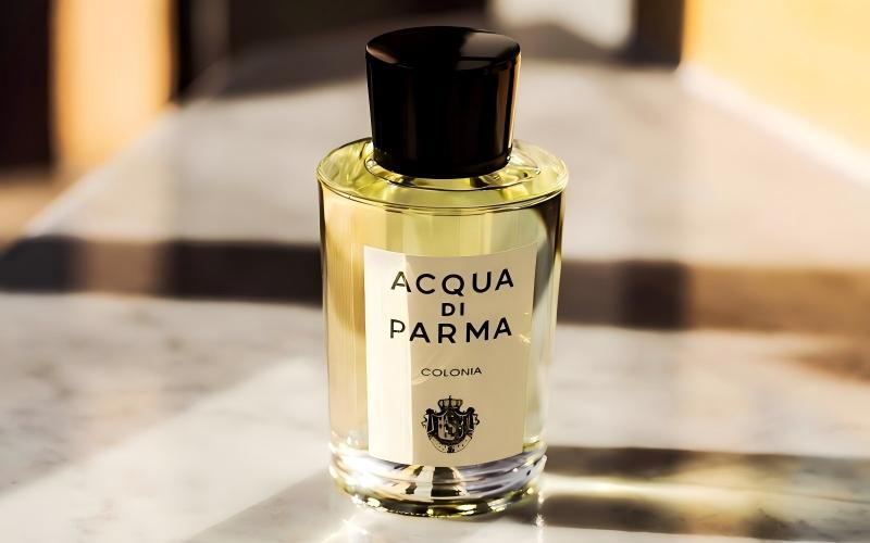 21.Breathe in the heat A transparent expression of summer fragrance 3