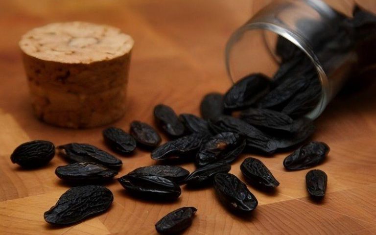 26.Coumarin - The Secret Ingredient To Many Scented Products 1(1)