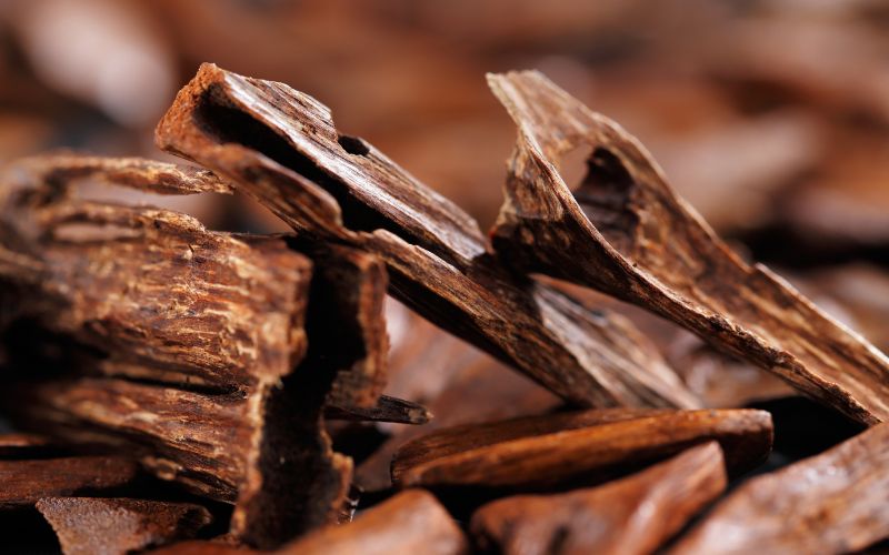 28.What Is Oud (Oudh) Fragrance And Why Is It So Expensive 2