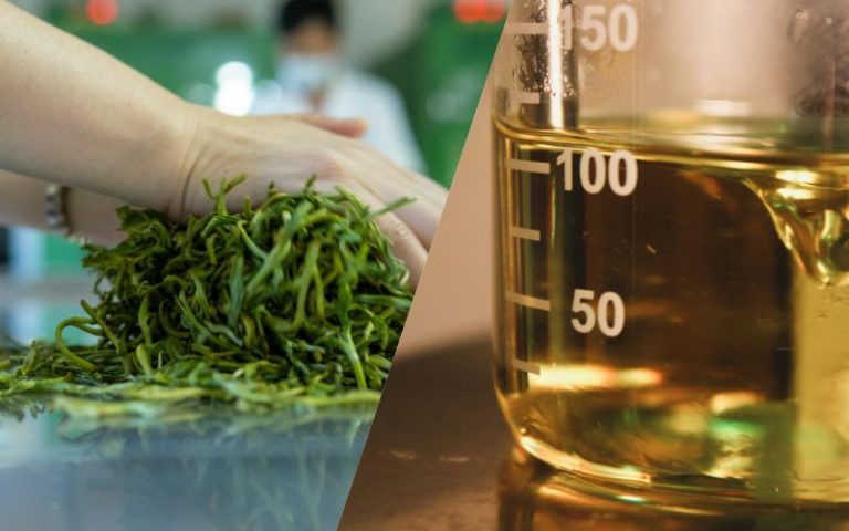 36.Natural vs Synthetic Fragrance Ingredients What’s the Real Difference 1