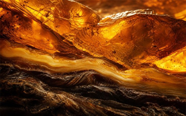 The Oriental and Ambery Perfumes: Expert Guide to Vanilla, Tonka, and Resins
