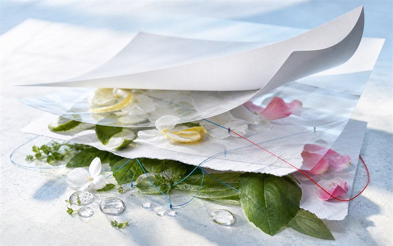 White product-label layers lifting in a clean breeze to reveal botanical materials, blue sourcing threads and measured fragrance droplets underneath